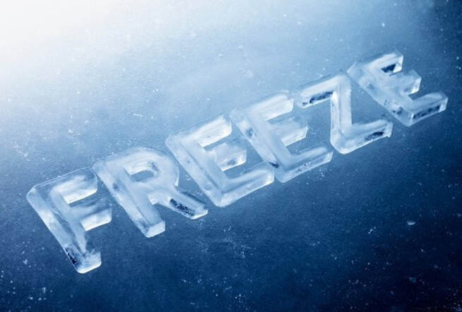 Freezing - Nature's Preservative - delivers optimum flavour and nutrition