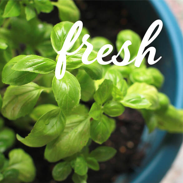 Fresh summer salad to go with our authentic Italian pasta dishes